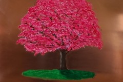 Japanese Maple Tree