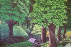 Forest in Springtime